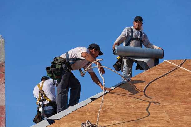Best New Roof Installation  in Ponderosa Pine, NM