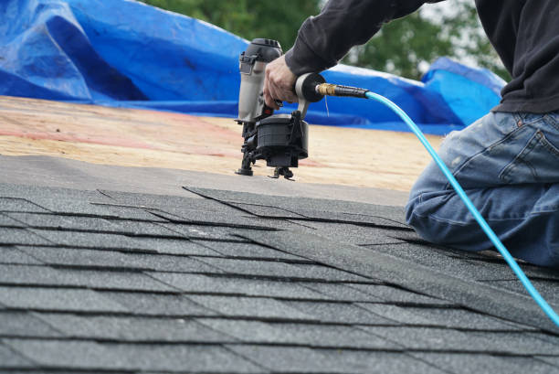 Best Local Roofing Companies  in Ponderosa Pine, NM