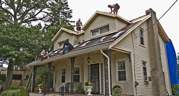 Best Roof Gutter Cleaning  in Ponderosa Pine, NM